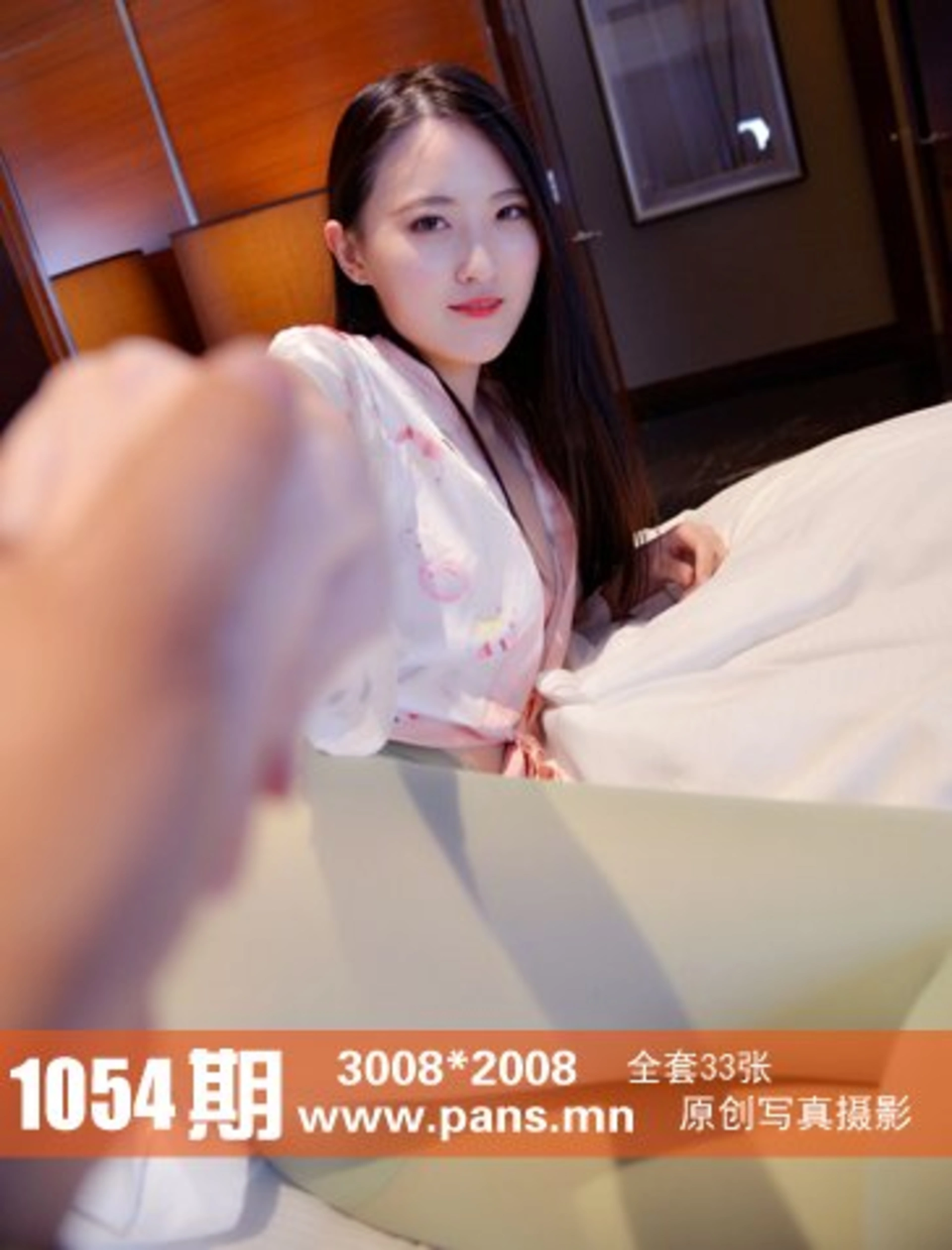 [PANS写真] 2018.11.25 NO.1054 狐狸 1
